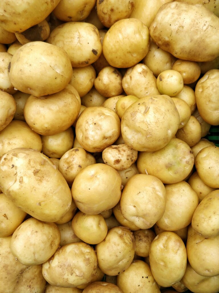 potatoes as far as the eye can see